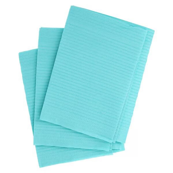 plus dental bibs   case