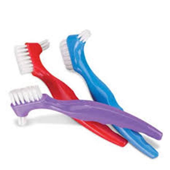denture brush